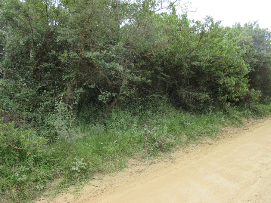 0 Bedroom Property for Sale in Bathurst Eastern Cape